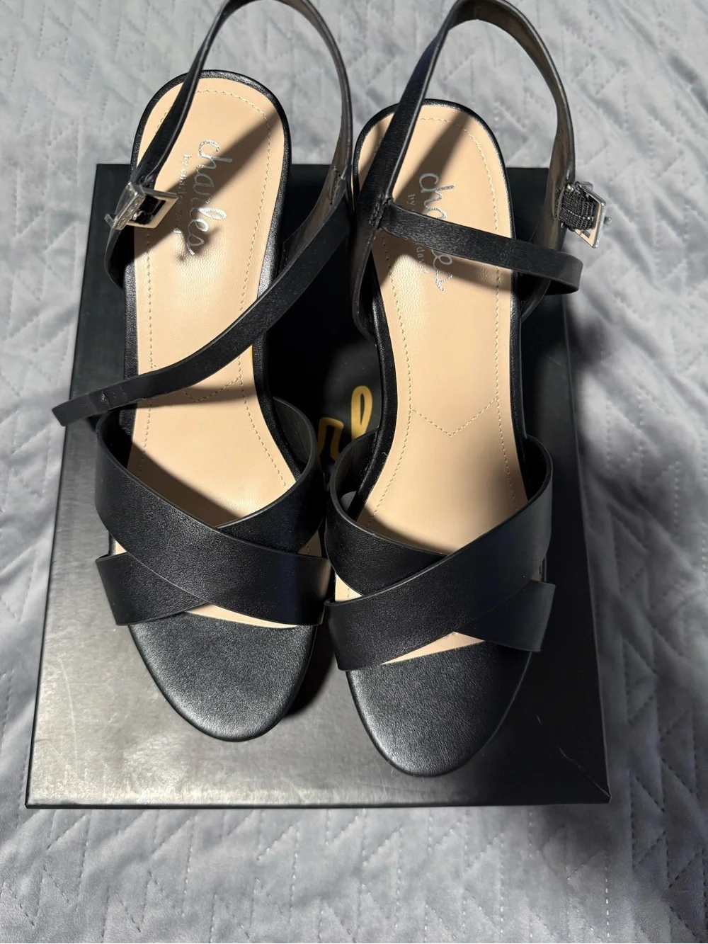 Charles by Charles David Lazaro Black Wedge Sandals Size 8 NWT/Never Worn
